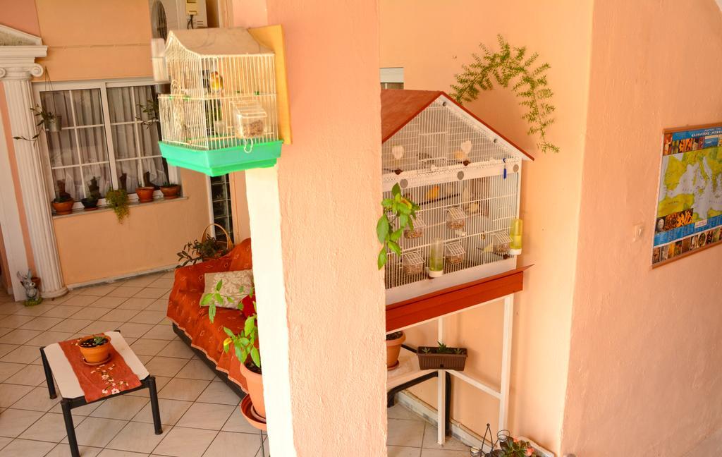 Hotel Dimitra Zeus Leptokaria Zewnętrze zdjęcie
