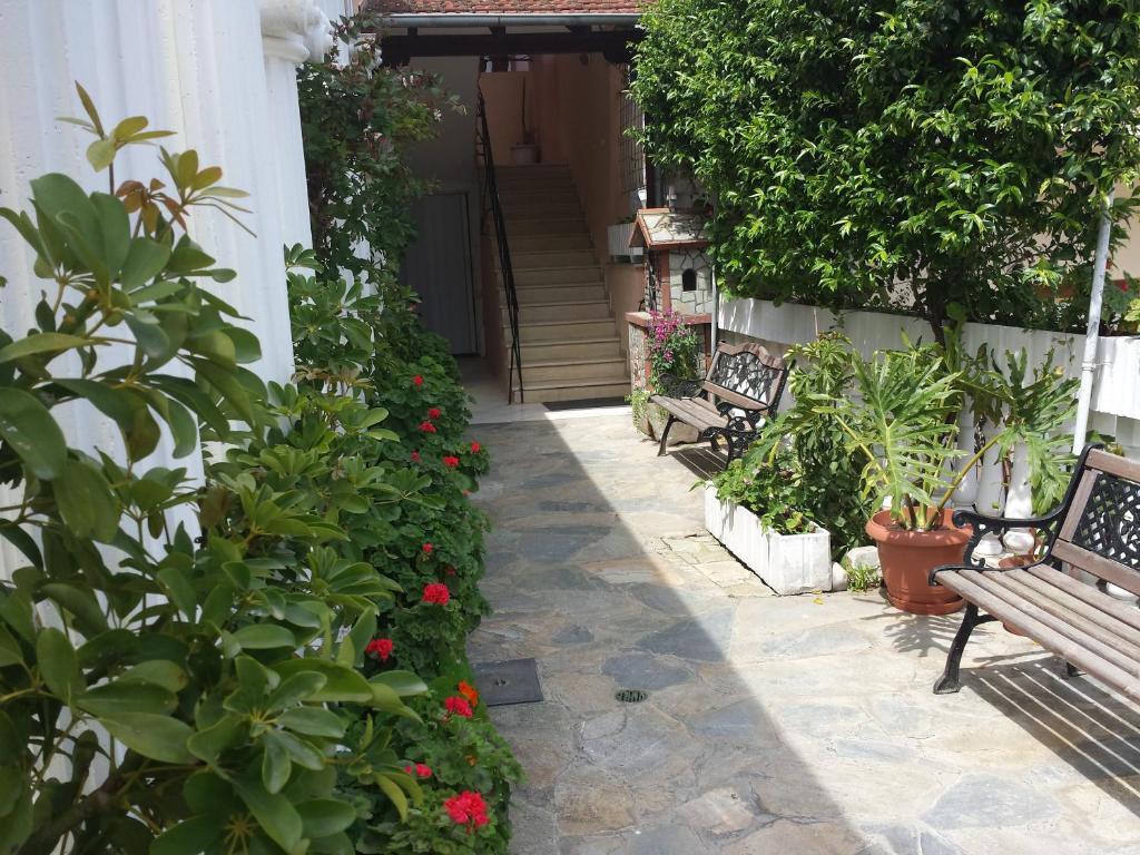 Hotel Dimitra Zeus Leptokaria Zewnętrze zdjęcie